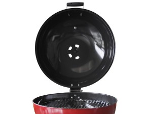 Hinged Hood