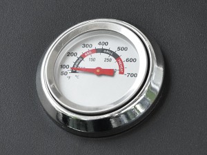 Heat indicator in °C and °F Phoenix heat indicator