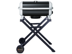 Buddy (Black) on stand