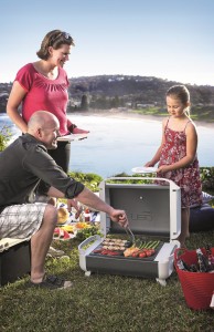 Grills, roasts and cooks anything anywhere