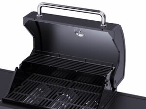 Double layer roasting hood